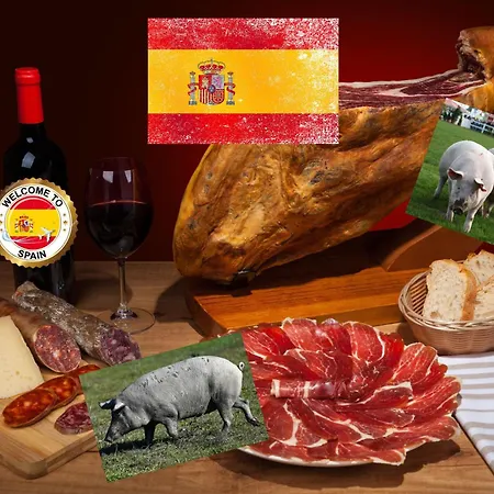 Maria 2024 * Alicante
